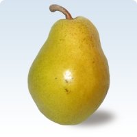 Вилямова Масловка